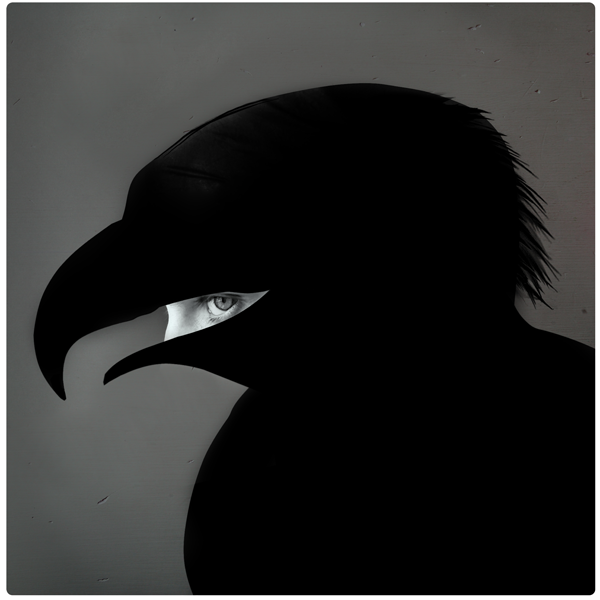Black bird 2